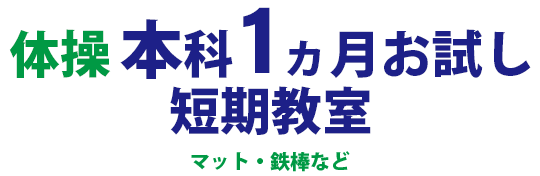体操本科1ヶ月おためし